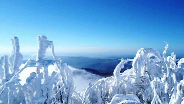 monte amiata in winter,Italy tuscany, somewhere between Grosseto and Siena