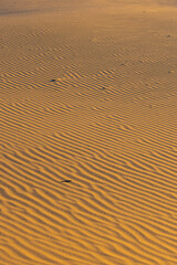 Close-up view of ripple pattern on the sand.
