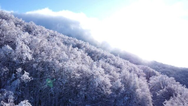monte amiata in winter,Italy tuscany, somewhere between Grosseto and Siena
