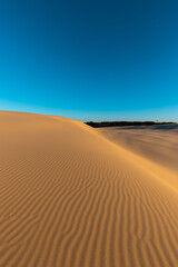 Fototapeta na wymiar Rippled pattern on the sand dune with blue sky.