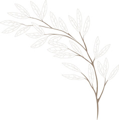  autumn leafs for Summer, Winter on white transparent background 