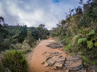 A pathway in a dry landscape