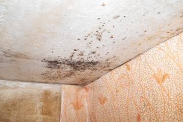 Damage ceiling from water pipelines leakage. Housing problem concep