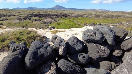 Black volcanic lava stones and yellow sand by the sae in ocean beach in Lanzarote , Spain - Summer holidays in Canary Islands biosfere reserve 