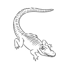 Hand-drawn pencil graphics, crocodile, alligator, croc. Engraving, stencil style. Black and white logo, sign, emblem, symbol. Stamp, seal. Simple illustration. Sketch.