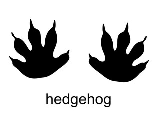 Vector cartoon hedgehog footprint, raccoon track. Hedgehog steps. Ink, silhouette vector illustration isolated on white background. For posters, greeting cards, book cover, flyers, banner, game design