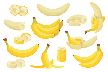 Various banana flat set. Exotic natural fruits collection. Vector cartoon illustration 