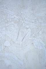 cement wall texture background , Concrete wall.