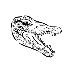 Hand-drawn pencil graphics, crocodile, alligator, croc. Engraving, stencil style. Black and white logo, sign, emblem, symbol. Stamp, seal. Simple illustration. Sketch.