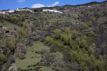 Fototapeta na wymiar Landscape along the Mulhacen O Poqueria river and gorge - Capileira - Sierra Nevada - Andalusia - Spain
