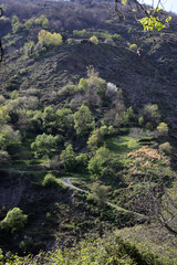 Landscape along the Mulhacen O Poqueria river and gorge - Capileira - Sierra Nevada - Andalusia - Spain