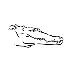 Hand-drawn pencil graphics, crocodile, alligator, croc. Engraving, stencil style. Black and white logo, sign, emblem, symbol. Stamp, seal. Simple illustration. Sketch.
