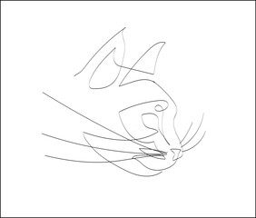 Vector illustration, cat, one line drawing 
