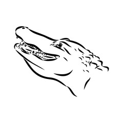 Hand-drawn pencil graphics, crocodile, alligator, croc. Engraving, stencil style. Black and white logo, sign, emblem, symbol. Stamp, seal. Simple illustration. Sketch.