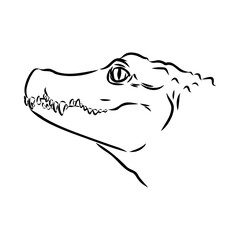 Hand-drawn pencil graphics, crocodile, alligator, croc. Engraving, stencil style. Black and white logo, sign, emblem, symbol. Stamp, seal. Simple illustration. Sketch.