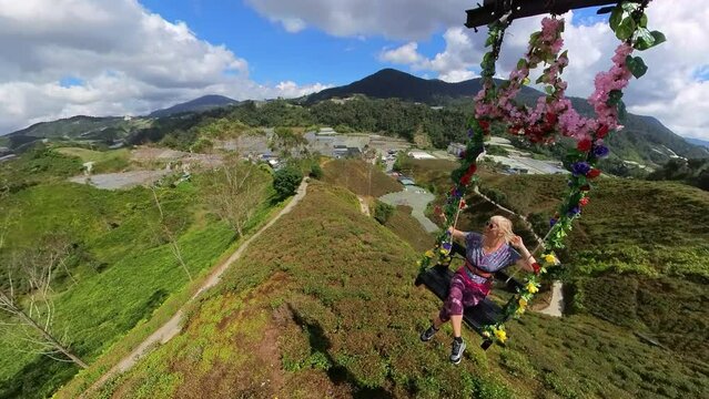tourist woman flying on swing and admiring breathtaking aerial views of tea plantations in the Cameron Highlands of Malaysia. The leaves produced here are of the highest quality in the world.