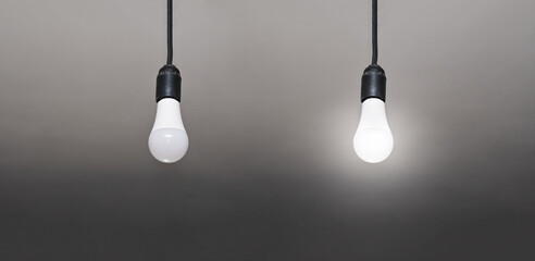 two lamps, one is lit, the other is not. a concept good idea.