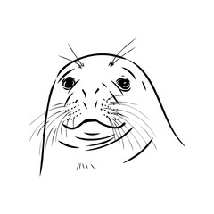 The animal is a navy seal. Monochrome logo of a marine animal. Vector isolated hand drawing in doodle style. Contour linear isolated icon. The page of the coloring book.