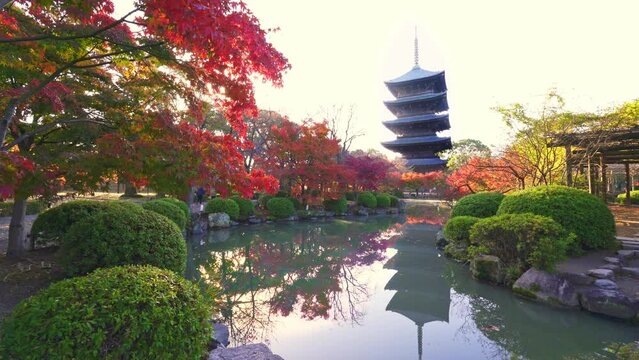 京都　東寺の紅葉と五重塔
