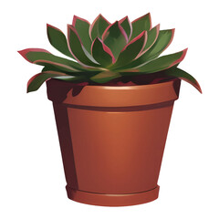 Succulent in a Plant Pot Isolated Detailed Hand Drawn Painting Illustration