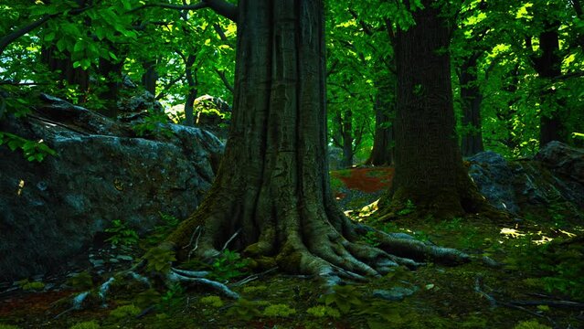 root covered with moss in a dark forest