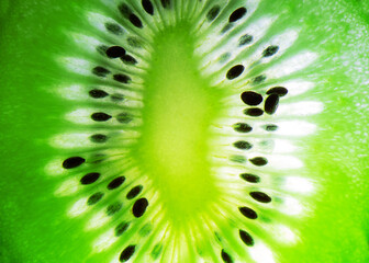 Close-up of a green kiwi