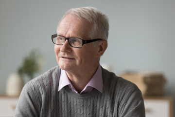 Positive dreamy elderly male pensioner in eye glasses thinking on retirement plans. Senior older man in eyewear looking away, enjoying leisure time, break on sofa, smiling, watching TV