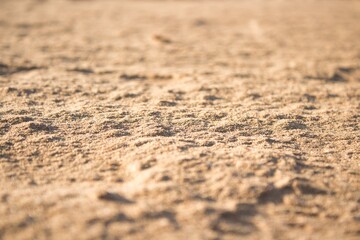 Fototapeta na wymiar Macro picture of the sand