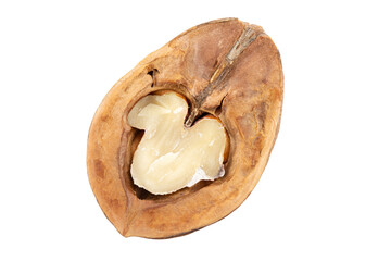Half a walnut isolated on white background. File contains clipping path.