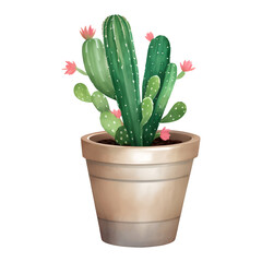 Cactus with Flowers in a Plant Pot Isolated Detailed Hand Drawn Painting Illustration
