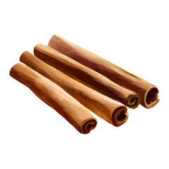 Cinnamon Sticks Isolated Detailed Hand Drawn Painting Illustration