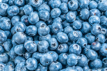 ブルーベリー　ビルベリー　果物