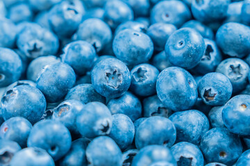 ブルーベリー　ビルベリー　果物