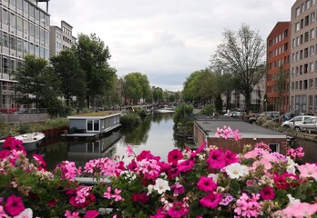 Fototapeta na wymiar Landscape with canal and flowers in Amsterdam, Netherlands