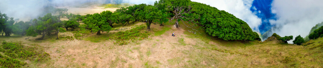 Fototapeta na wymiar Madeira, Portugal. The magical Fanal Forest is part of the Laurisilva forest. Aerial view from drone with low clouds and trees