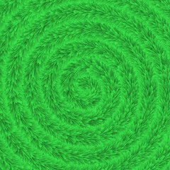 Spiral grass form vector background 