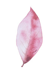 decoration of watercolor leaves for autumn