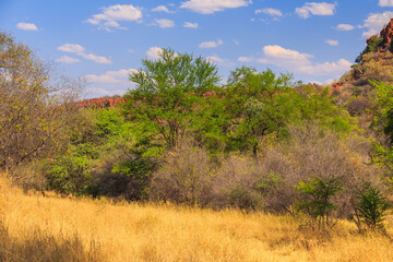 Waterberg Plateau National Park, Kalahari, Otjiwarongo, Namibia, Africa.