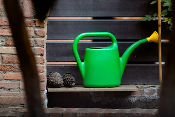 Green can for watering flowers next to a pine cones near bricks wall in the garden