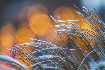 Celle, 16.02.2023