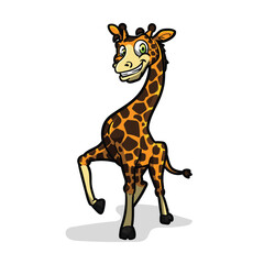 giraffe vector illustration