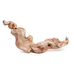 Driftwood on a white background. Beautiful age wood