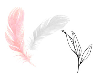 pink and white feathers isolated on white background, hand drawn illustration