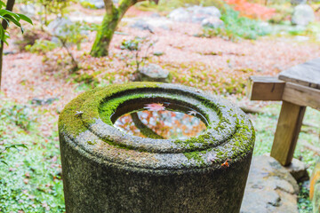 京都 永観堂の紅葉
