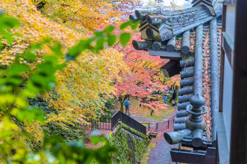 京都 永観堂の紅葉
