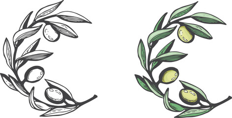 olive branches vector sketch coloring book