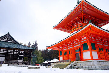 【和歌山県】高野山 壇上伽藍 根本大塔 (2023/02/08撮影)