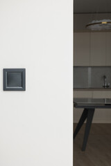Obraz na płótnie Canvas wall switches near the room In the interior