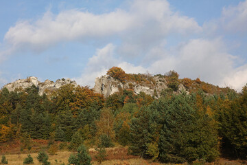 Fototapeta na wymiar Zborow mountain - rock formations in Polish Jura near Podlesice, Poland