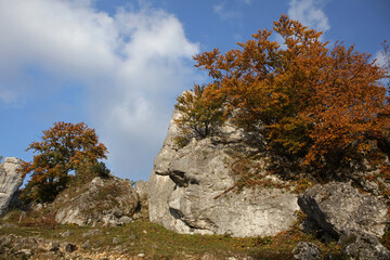 Zborow mountain - rock formations in Polish Jura near Podlesice, Poland